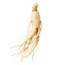 Ginseng Root Extract